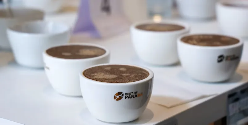 Panama’s Best Coffee to Be Auctioned Online This Wednesday