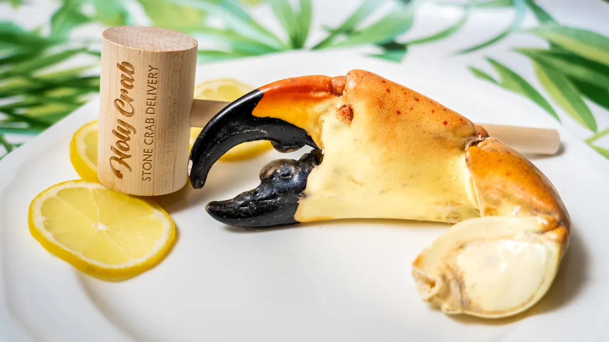 Stone Crab Season: Miami’s Fall Tradition for Expat and Digital Nomads