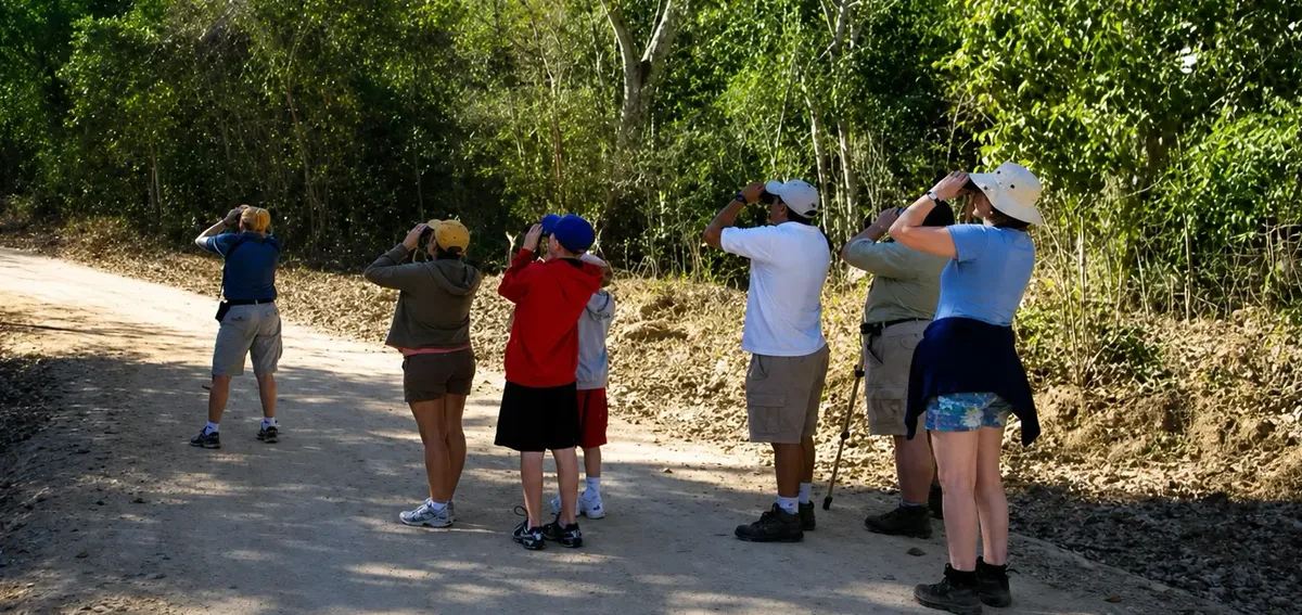 Join the Free Río Pitillal BioBlitz and Discover Puerto Vallarta’s Hidden Natural Treasures