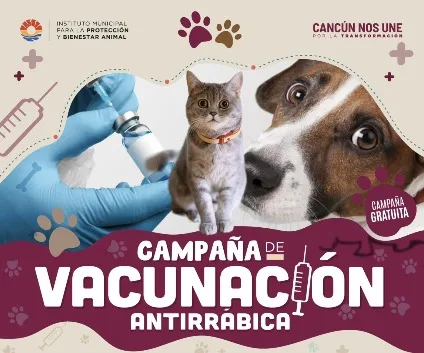 Cancún Hosts Free Rabies Vaccination Clinic for Pets
