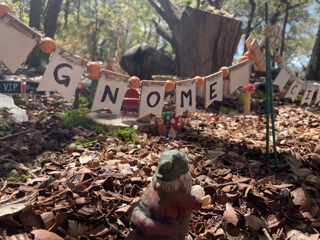 Austin’s Gnome Grove Faces Major Changes for Expats and Digital Nomads