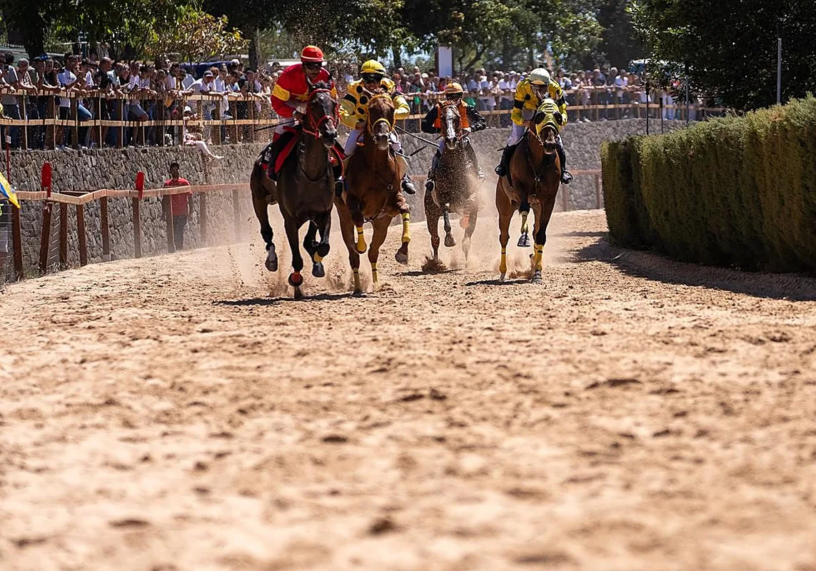 Santa Cruz de Tenerife: Celebrating Equestrian Sports with the V Copa Hípica de San Vicente Ferrer