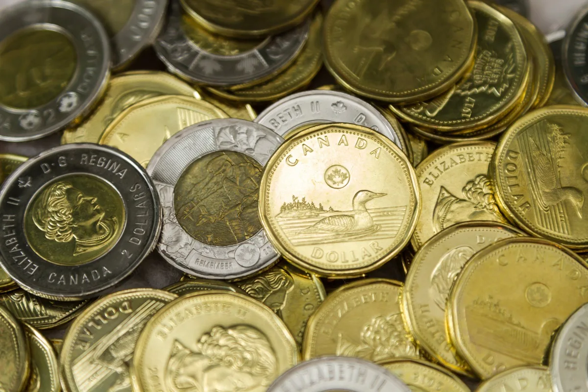 Canadians Rally to Defend Our Coins