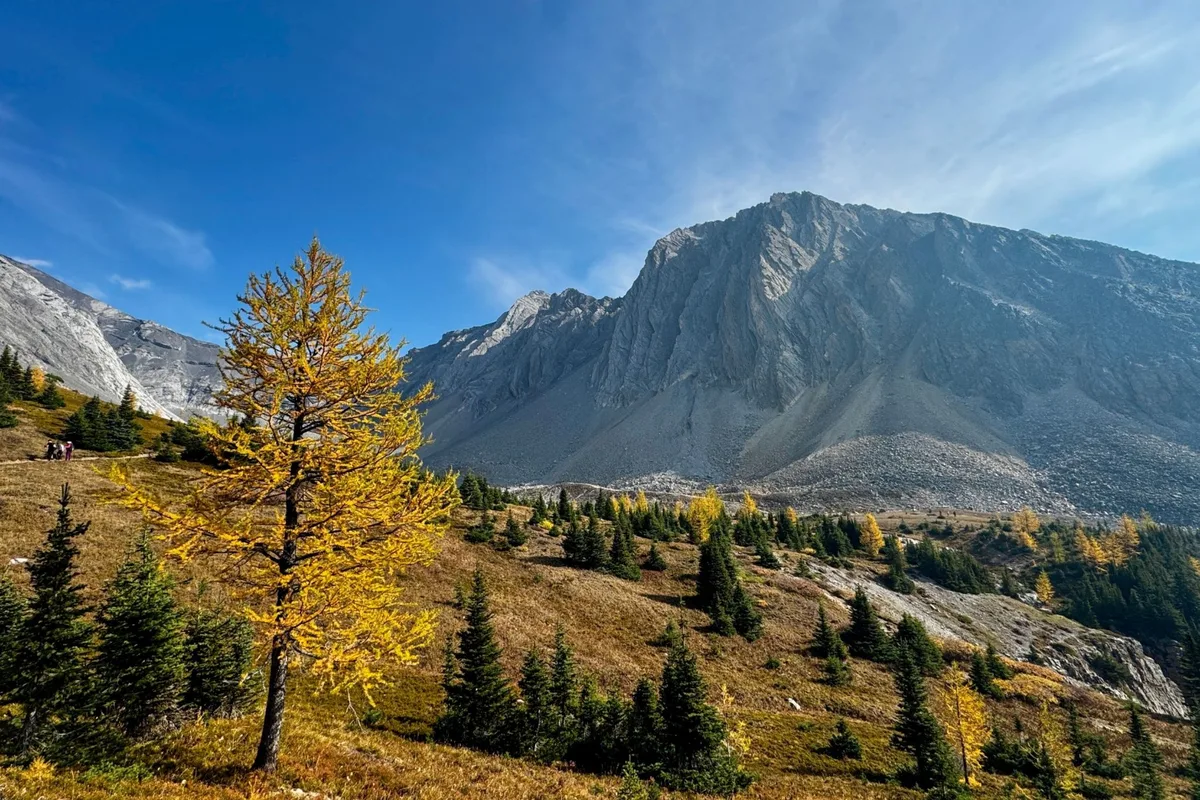 7 Must-Do Hikes Near Calgary This Fall