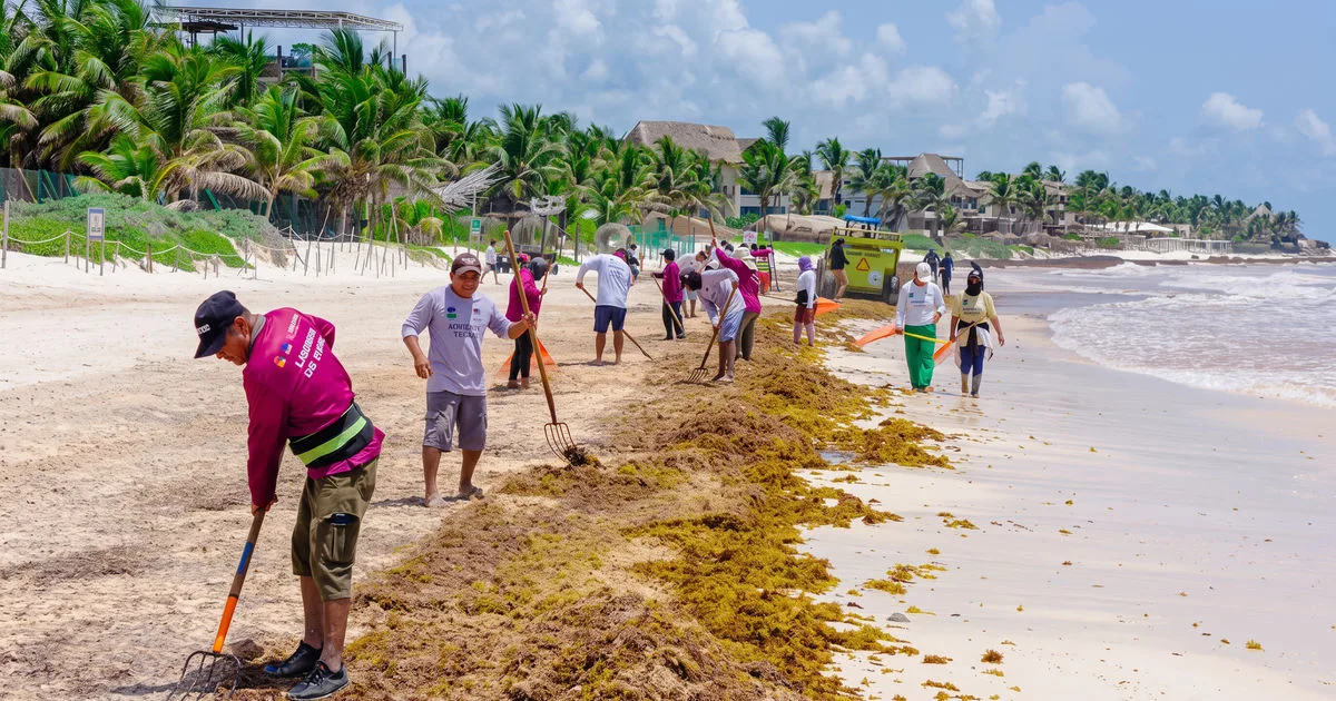 Tulum's Two Free Beaches Near Certification: What It Means for Residents