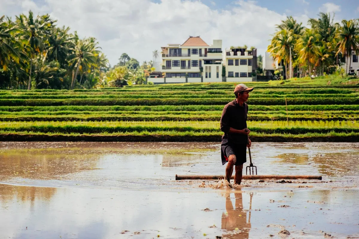 Bali Farmers Face Land Offers Worth Up to 20 Years of Harvests