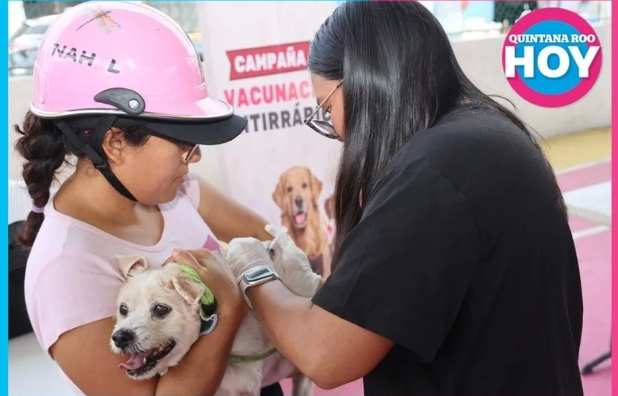 Isla Mujeres Launches Free Rabies Vaccination Campaign for Residents