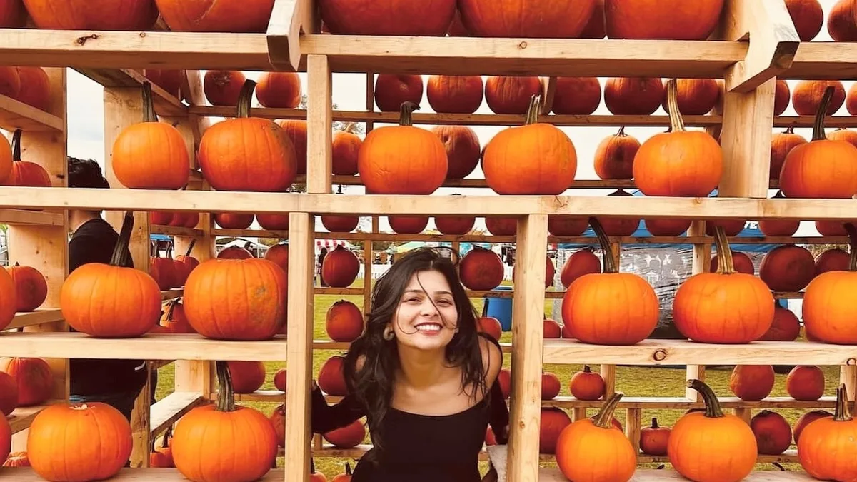 Pumpkin Patch Fun: Best Festivals for Fall in Toronto and Surrounding Areas