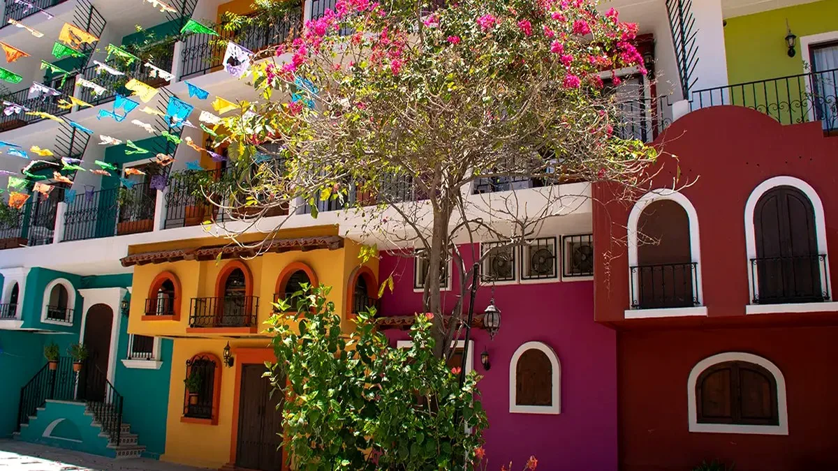 Puerto Vallarta Welcomes International Travel Creators for Pop-Up Event