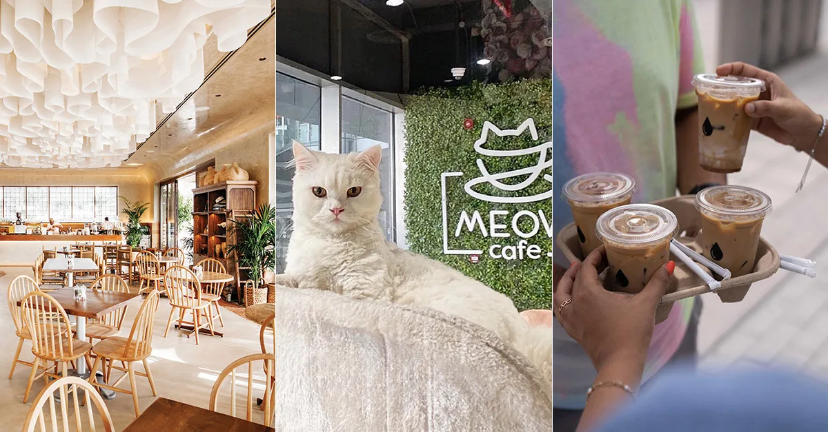 20 Must-Visit Spots for International Coffee Day in Abu Dhabi