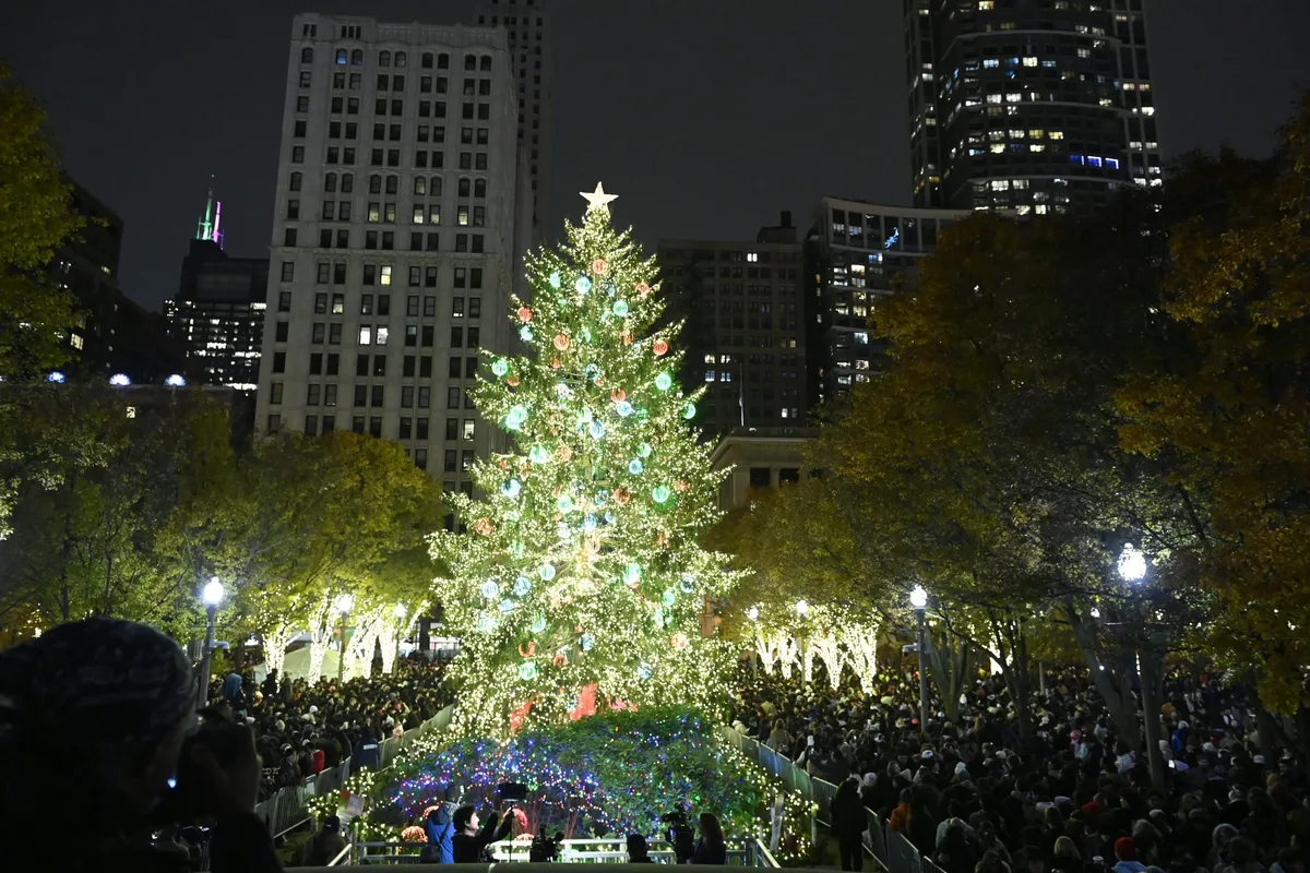 Chicago's Search for Its Official Christmas Tree: A Curious Quest for Holiday Cheer