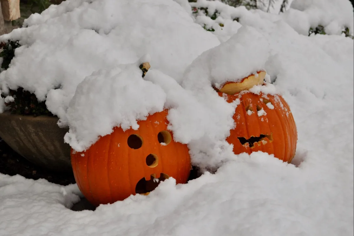 Alberta's Warm Spell to Continue: What You Need to Know